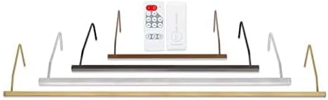 Situ Lighting: Plug-in Vision Series Remote Controlled LED Art and Picture Light - USA Made - Color Tuning 2700K - 4000K