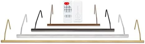 Situ Lighting: Plug-in Vision Series Remote Controlled LED Art and Picture Light - USA Made - 3000K