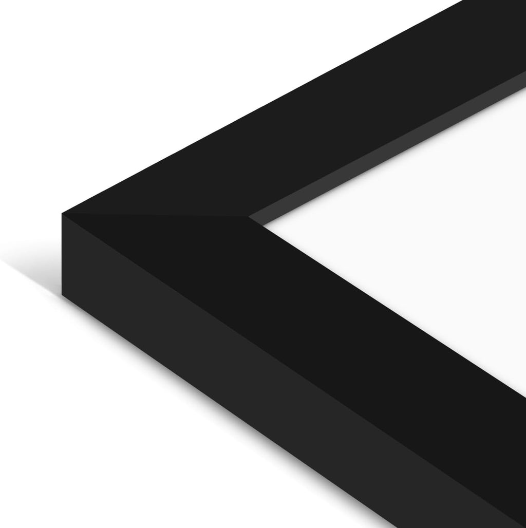 Americanflat 10x30 Picture Frame with Polished Plexiglass - Signature Collection - Gallery-Style Frames Made of Engineered Wood - Photo Frame for Wall Display - Black