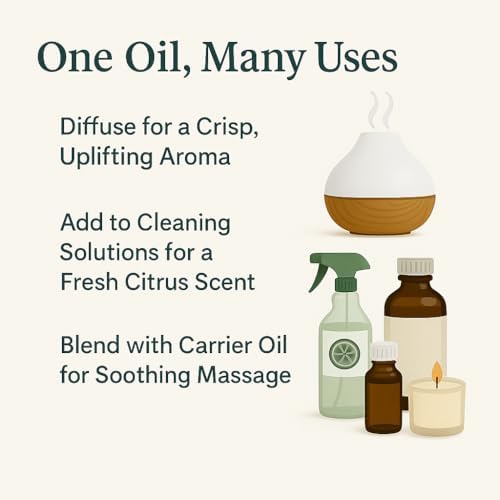 Lemon Eucalyptus Essential Oil (Corymbia Citriodora) – 100% Pure & Undiluted Citrus Aroma for Diffusers, Massage (Dilute) & DIY | Essential Oils for Humidifiers(Pack of 6/0.34 Fl Oz Each)