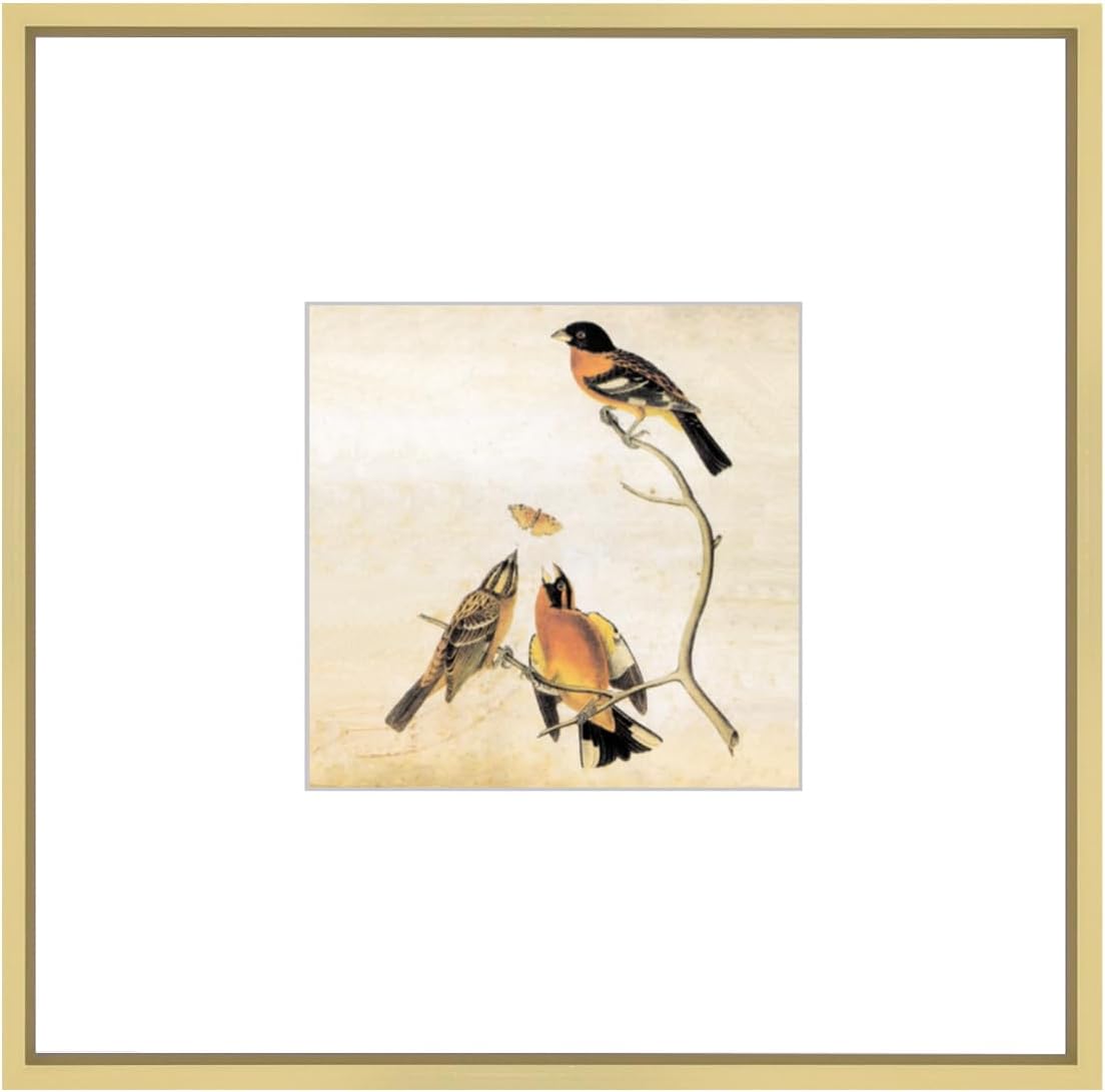 8x8 Picture Frame, Brass Metal Square Photo Frames with HD Glass, Fits 5x5 with Mat or 8 x 8 without Mat, Display for Wall and Table, 1 Pack