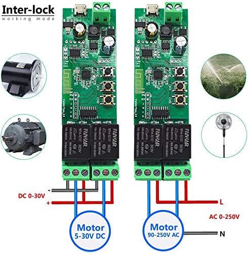 2-Channel WiFi Smart Switch Relay Module, TUYA/Smart Life App for Smart Home Remote Control, Momentary Time Adjustable, Compatible with Alexa/Google Assistant