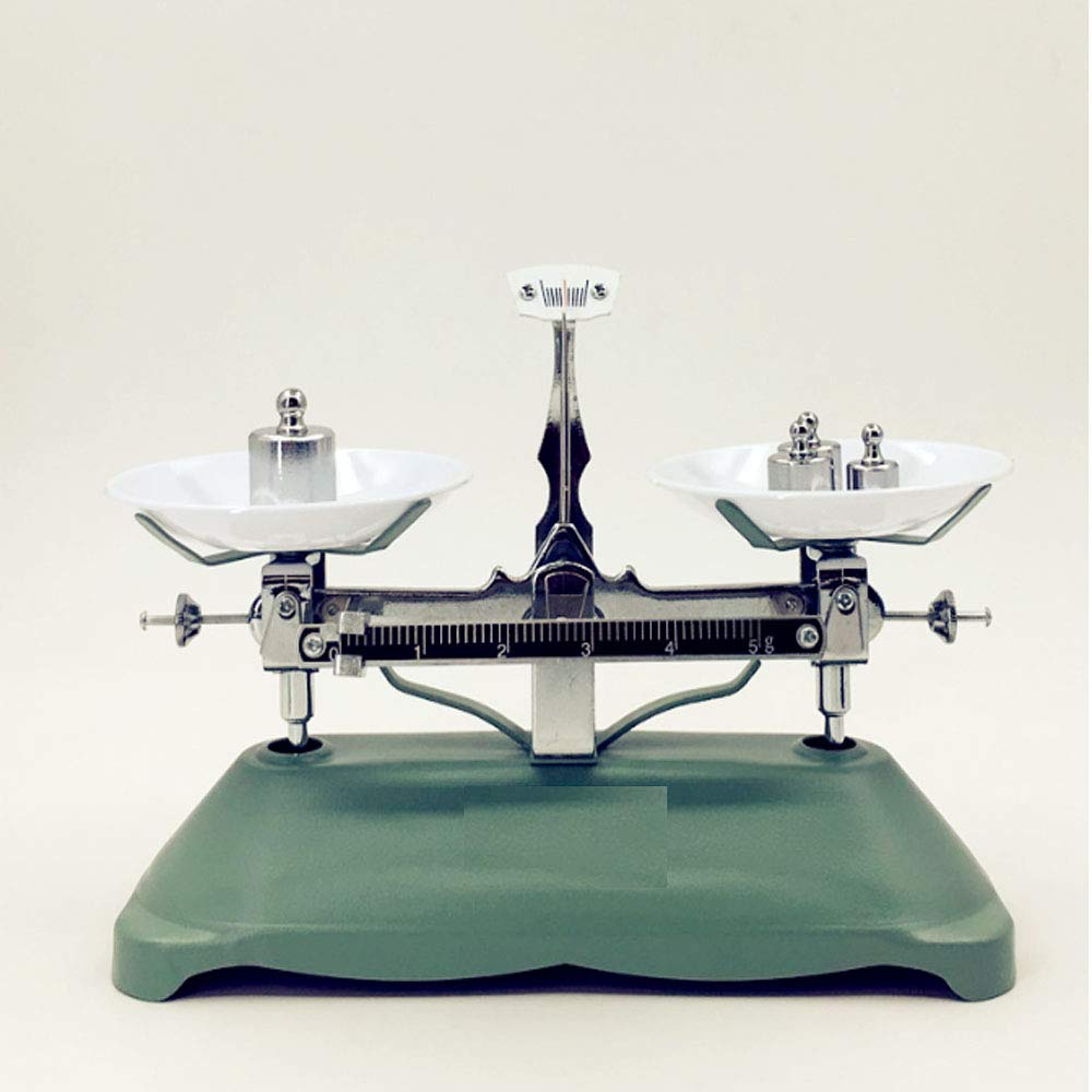 Weigh Scales Calibration Weight,Gram Calibration Weight,Scale Balance Calibration Weight,for Digital Scale Balance (500G)