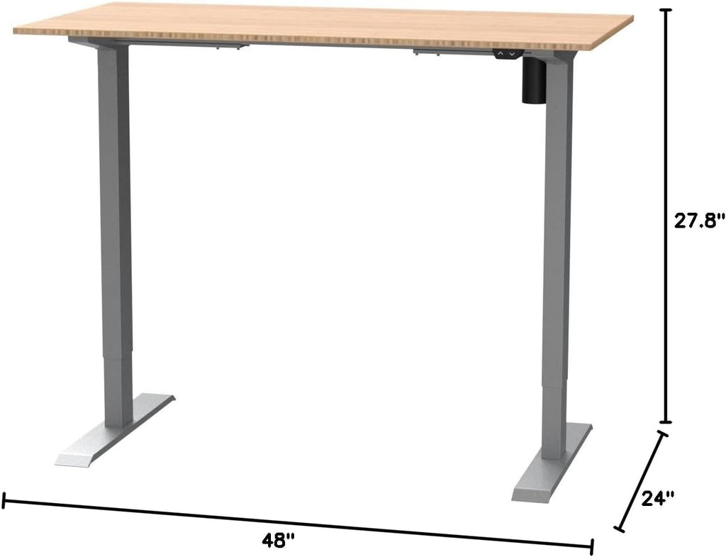 FLEXISPOT EN1 Bamboo Standing Desk, 48 x 24 Inches Whole-Piece Electric Height Adjustable Desk (Silver Frame + Bamboo Top, 2 Packages)