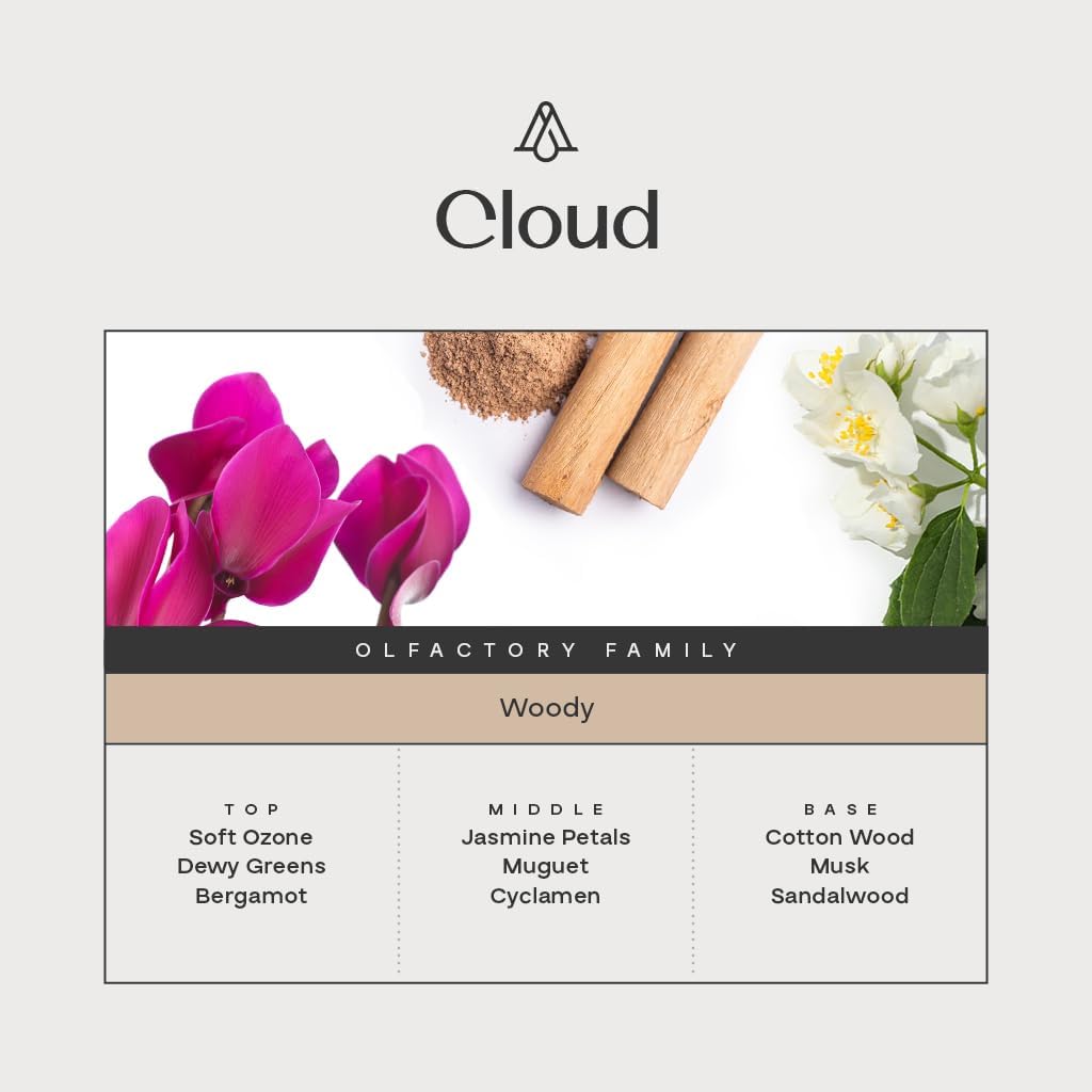AromaPlan Hotel, Home Luxury Scents, Cloud 5.07 Fl Oz (150ml) | Fragrance for Cold Air & Waterless Diffuser Oil | Home Luxury & Hotel Scent for Aromatherapy- USA Made, Bigger Bottle & Longer Lasting