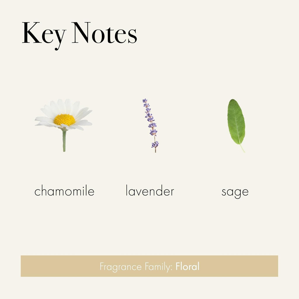 LAFCO New York Classic Reed Diffuser, Chamomile Lavender - 6 oz - Up to 3 Months Fragrance Life - Reusable, Hand Blown Glass Vessel - Natural Wood Reeds - Made in The USA