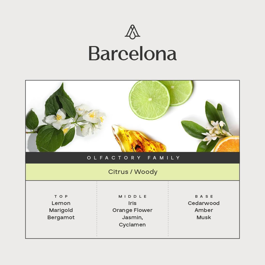 AromaPlan Hotel, Home Luxury Scents, Barcelona 5.07 Fl Oz (150ml) | Fragrance for Cold Air & Waterless Diffuser Oil | Home Luxury & Hotel Scent for Aromatherapy-USA Made,Bigger Bottle & Longer Lasting