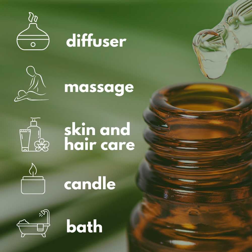 Dual Eucalyptus Essential Oil Blends by One Arome – Eucalyptus Oil (Corymbia Citriodora - Lemon & Eucalyptus Globulus) | Oil for Diffusers, Massage (Dilute) & DIY (Pack of 6 × 0.34 fl oz Each)