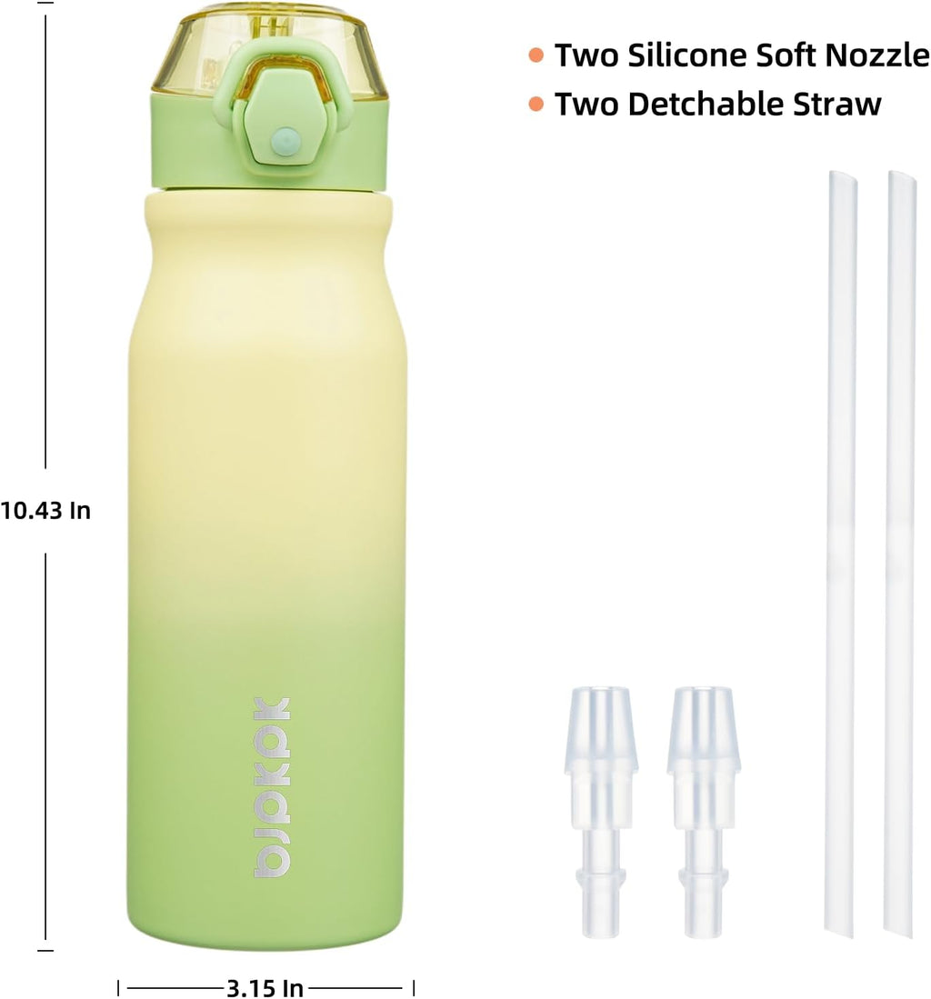 BJPKPK Stainless Steel Insulated Water Bottle with Straw Lid 25oz Reusable Metal Thermal Flask Bottles Keep Cold and Hot,Lime