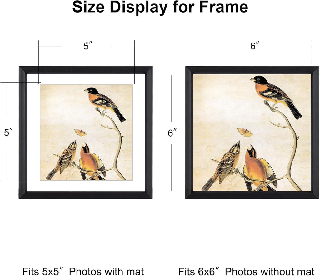 6x6 Picture Frame, Black Metal Photo Frames with HD Glass, Fits 5x5 with Mat or 6 x 6 Without Mat, Display for Wall and Table, 3 Pack