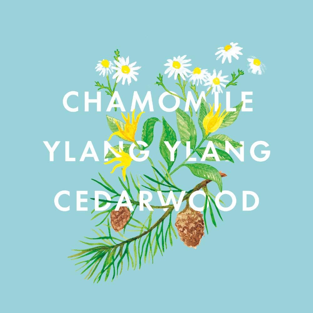 NEOM- Essential Oil Blend, 10ml (Chamomile, Ylang Ylang & Cedarwood)