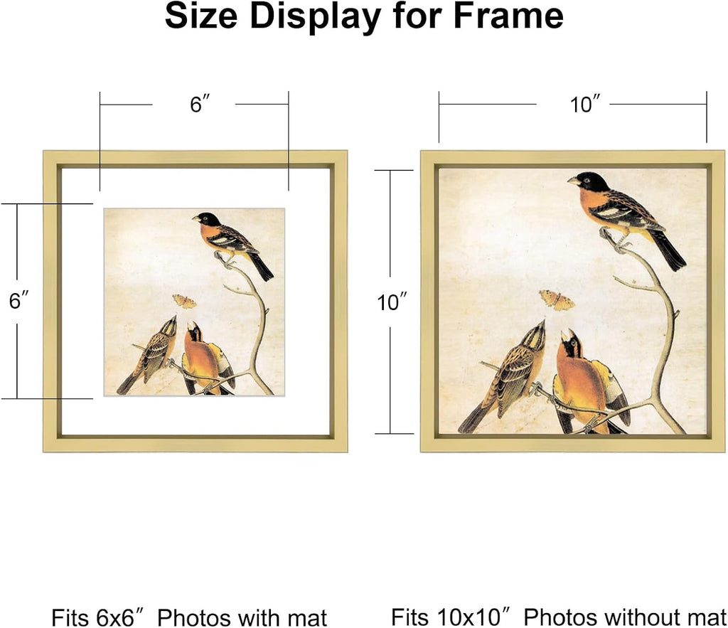 10x10 Picture Frame, Brass Metal Square Photo Frames with HD Glass, Fits 6x6 with Mat or 10 x 10 without Mat, Display for Wall and Table, 1 Pack