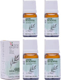 Lemon Eucalyptus Essential Oil (Corymbia Citriodora) – 100% Pure & Undiluted Citrus Aroma for Diffusers, Massage (Dilute) & DIY | Essential Oils for Humidifiers (Pack of 4 × 0.34 fl oz)