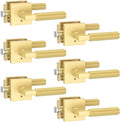 Asidrama 6 Pack Gold Privacy Door Handles, Door Lever with Door Knobs Indoor for Bedroom or Bathroom, Heavy Duty Door Handles Interior with Locks for Left Right Sided Doors ZR01-098AA