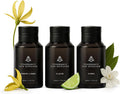 AromaPlan Home Summer Time Collection Scents,Hotel Premium Collection Set- 5 Star Hotel Collection- Natural, Non-Toxic Cold Air Diffuser Oil- Gift Ready, Diffuser Oils Scent (3 Pack/1.7 fl.oz (50 ml)