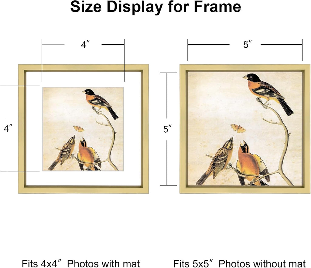 5x5 Picture Frame, Brass Metal Photo Frames with HD Glass, Fits 4x4 with Mat or 5 x 5 without Mat, Display for Wall and Table, 3 Pack