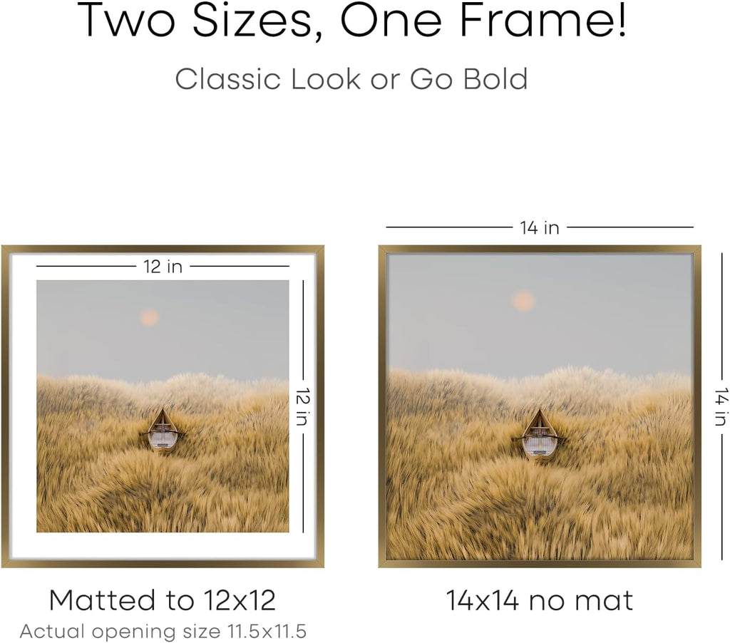 Homeforia 14x14 Picture Bronze Frame, High End Metal 14 x 14 Square Poster Frame with Mat 12 x 12 Photo, 14x14 Brass Frame Matted to 12x12 Print, 14by14 Thin Frames, Tempered Glass, Wall Kit, Set of 1