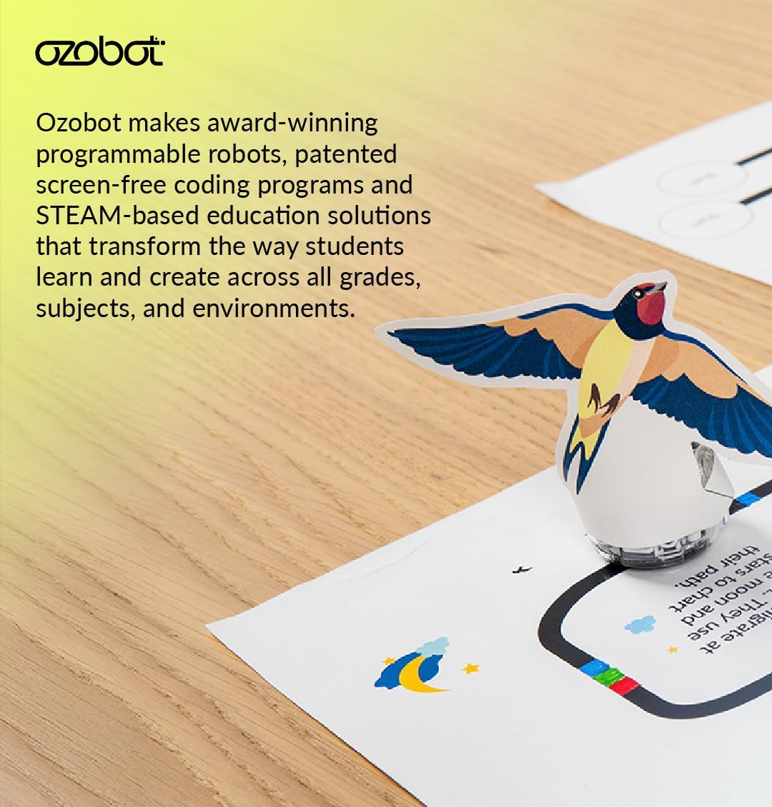 Ozobot Color Coding Markers, Color Variety for Creative STEM Education, Classroom & Home, Enhances Problem Solving & Critical Thinking Skills, Suitable for Ages 6+, Dual-Sided, 5 Pack