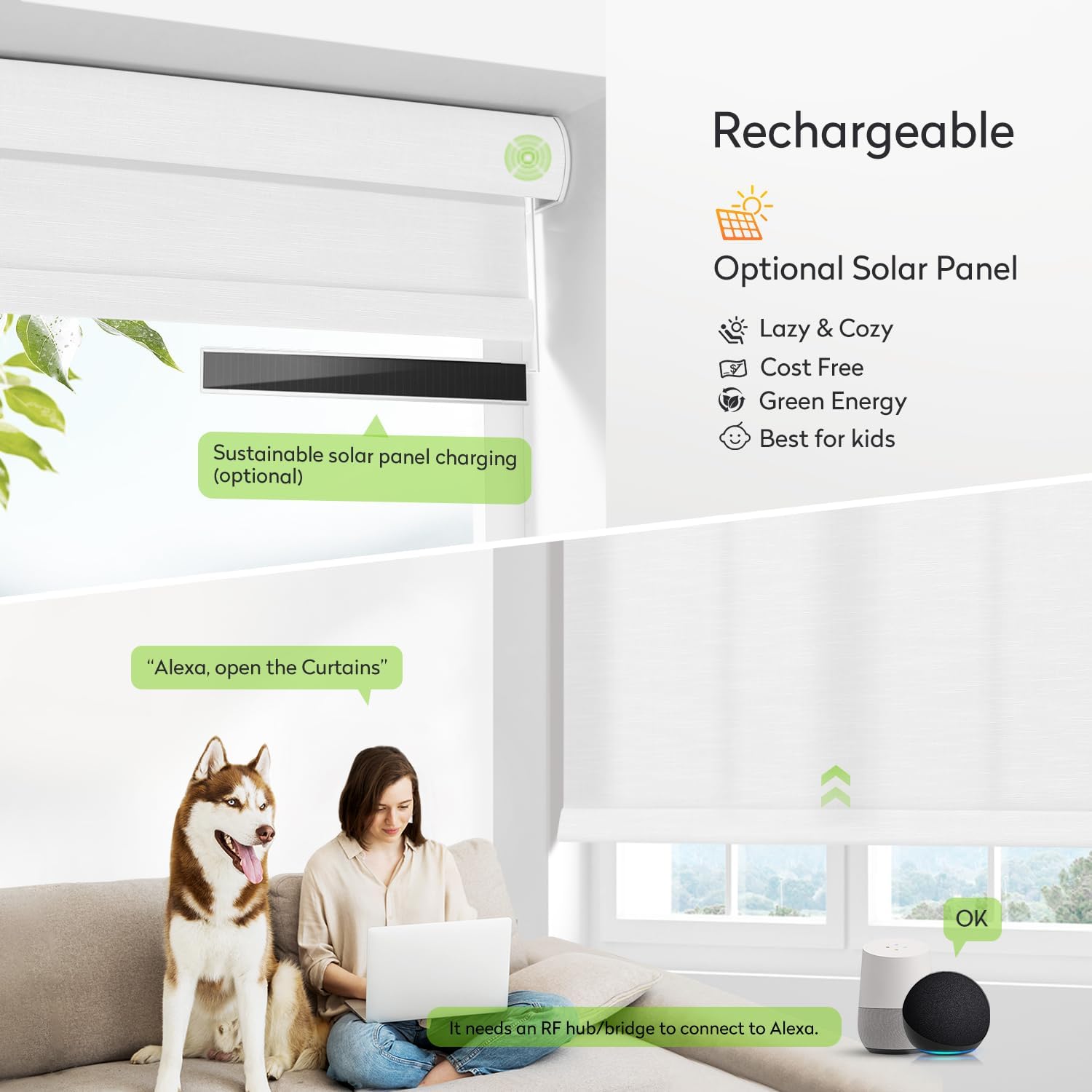 ZSTARR Motorized Light Filtering Roller Blinds with Remote Control,Rechargeable Smart Window Shades Compatible with Alexa Google via Hub,Fabric Wrapped Valance, Custom Size (Light White)