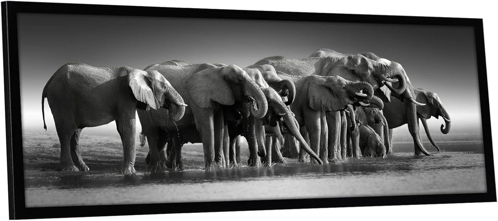 Americanflat 12x36 Picture Frame with Polished Plexiglass - Signature Collection - Gallery-Style Frames Made of Engineered Wood - Photo Frame for Wall Display - Black