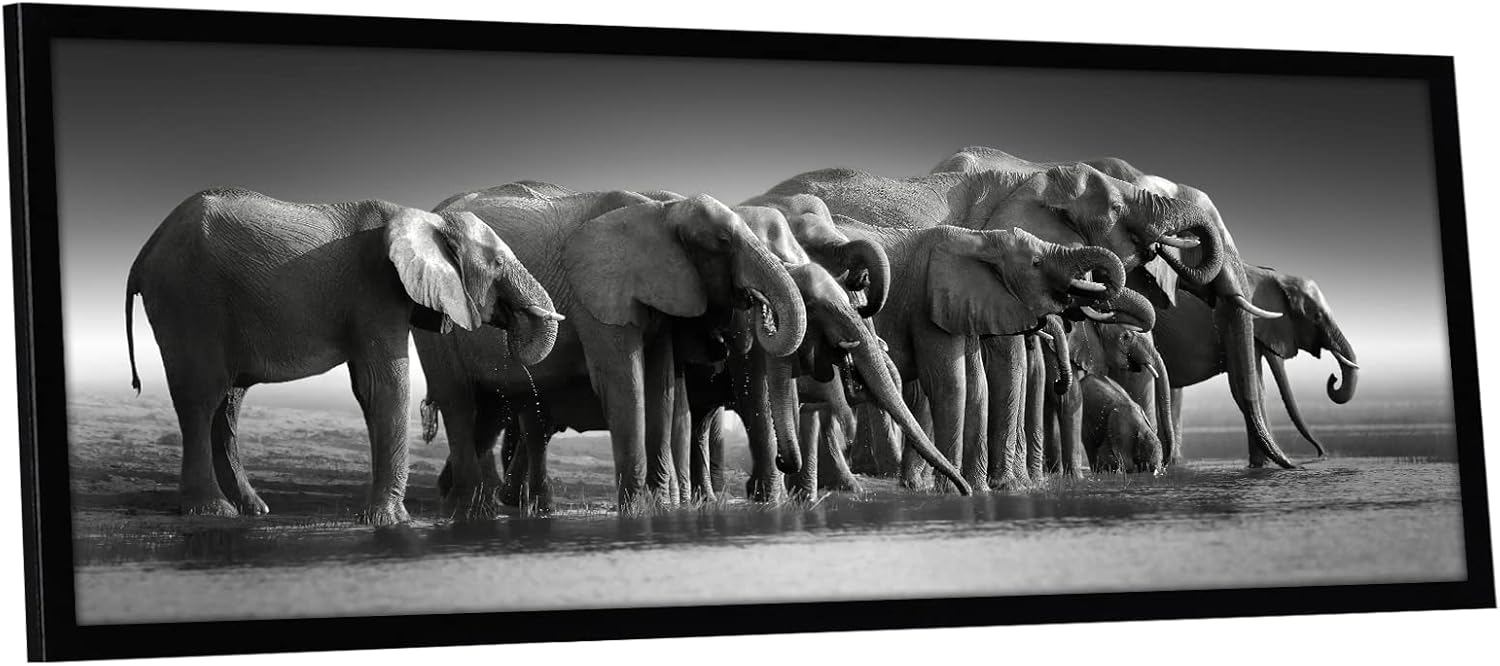 Americanflat 12x36 Picture Frame with Polished Plexiglass - Signature Collection - Gallery-Style Frames Made of Engineered Wood - Photo Frame for Wall Display - Black