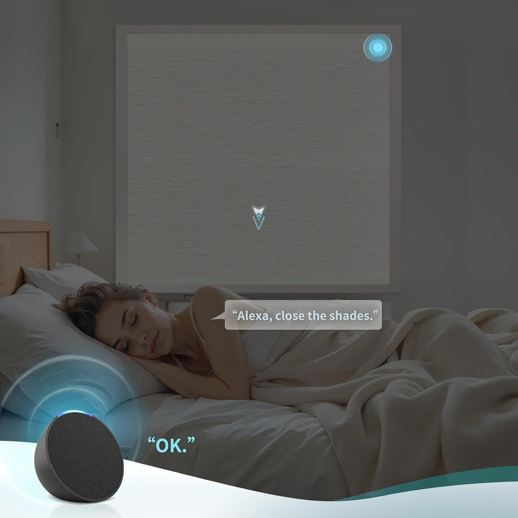 Motorized Blinds with Remote Custom Size Blackout Smart Roller Shades Compatible with Alexa Google, Electric Blinds for Windows