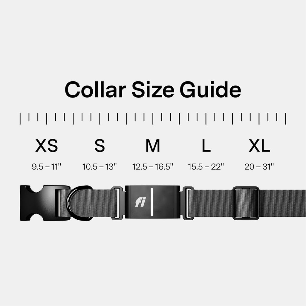 New Fi Series 3+ Smart Dog Tracker Collar [12 Month Membership Included] GPS Tracker for Dogs with Health & Behavior Monitoring, Escape Alerts, Waterproof, LED, Apple Watch Compatible (Gray, X-Small)