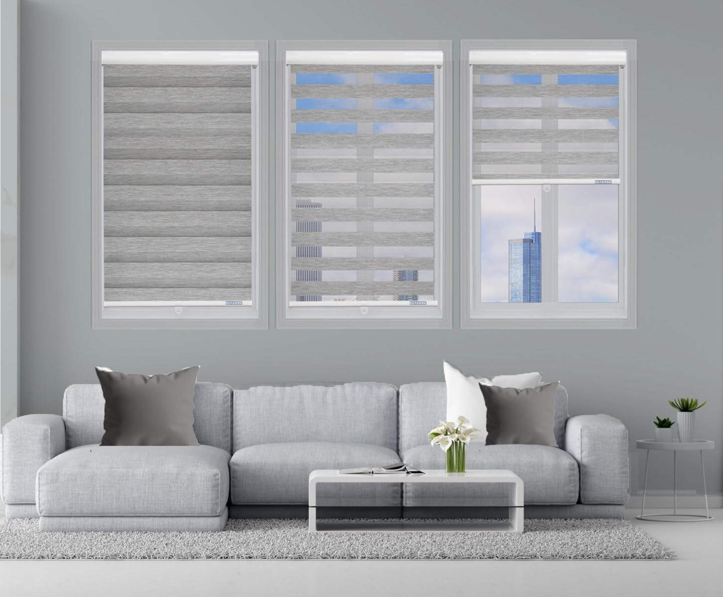 Shadesu Cordless Zebra Blinds for Windows, 23" W x 72" H, Grey, Dual Layer Free-Stop Zebra Shades, Light Control for Day and Night, Sheer Blinds for Indoor Windows, Bedroom, Kitchen