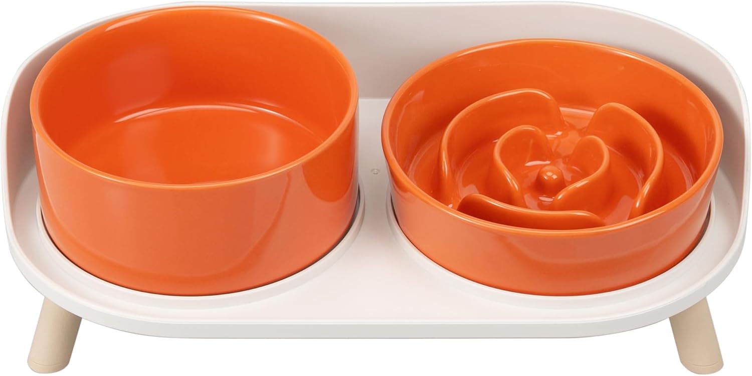 Elevated Slow Feeder Dog Bowls - Ceramic Food and Water Bowl Set with Stand - Raised Pet Dishes for Small and Medium Sized Dogs