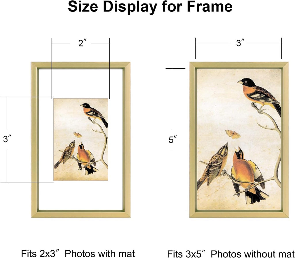 3x5 Picture Frame, Brass Metal Photo Frames with HD Glass, Fits 2x3 with Mat or 3 x 5 without Mat, Display for Wall and Table, 1 Pack