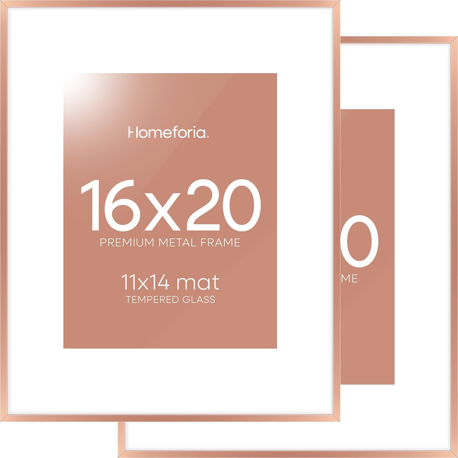 Homeforia Picture Frames 16x20 Rose Gold, High End Metal 16x20 Poster Frame with Mat 11x14 inch Photo, 16 x 20 Rose Gold Frame Matted to 11 by 14 Print, 20x16 Frame, Tempered Glass, Wall Kit, Set of 2