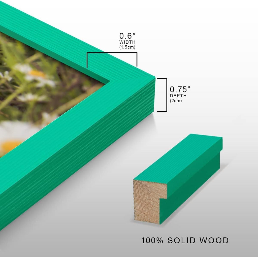 Renditions Gallery Set of 9, 8X10 Custom Photo Prints with Real Wood Picture Frames. Create Personalized Photos with Peel & Stick Photo Frames. Green Frame