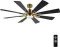 WINGBO 60" DC Ceiling Fan with Lights and Remote Control, Gold and Black Ceiling Fan, 8 Plywood Blades, 6-Speed Reversible DC Motor, Modern Ceiling Fans Indoor for Kitchen Bedroom Living Room