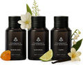 AromaPlan Home Destinations Collection Scents,Hotel Premium Collection Set- 5 Star Hotel Collection- Natural, Non-Toxic Cold Air Diffuser Oil -Gift Ready, Diffuser Oils Scent (3 Pack/1.7 fl.oz (50 ml)