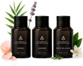 AromaPlan Home Spring Collection Scents,Hotel Premium Collection Set- 5 Star Hotel Collection- Natural, Non-Toxic Cold Air Diffuser Oil - Gift Ready, Diffuser Oils Scent (3 Pack/1.7 fl.oz (50 ml)