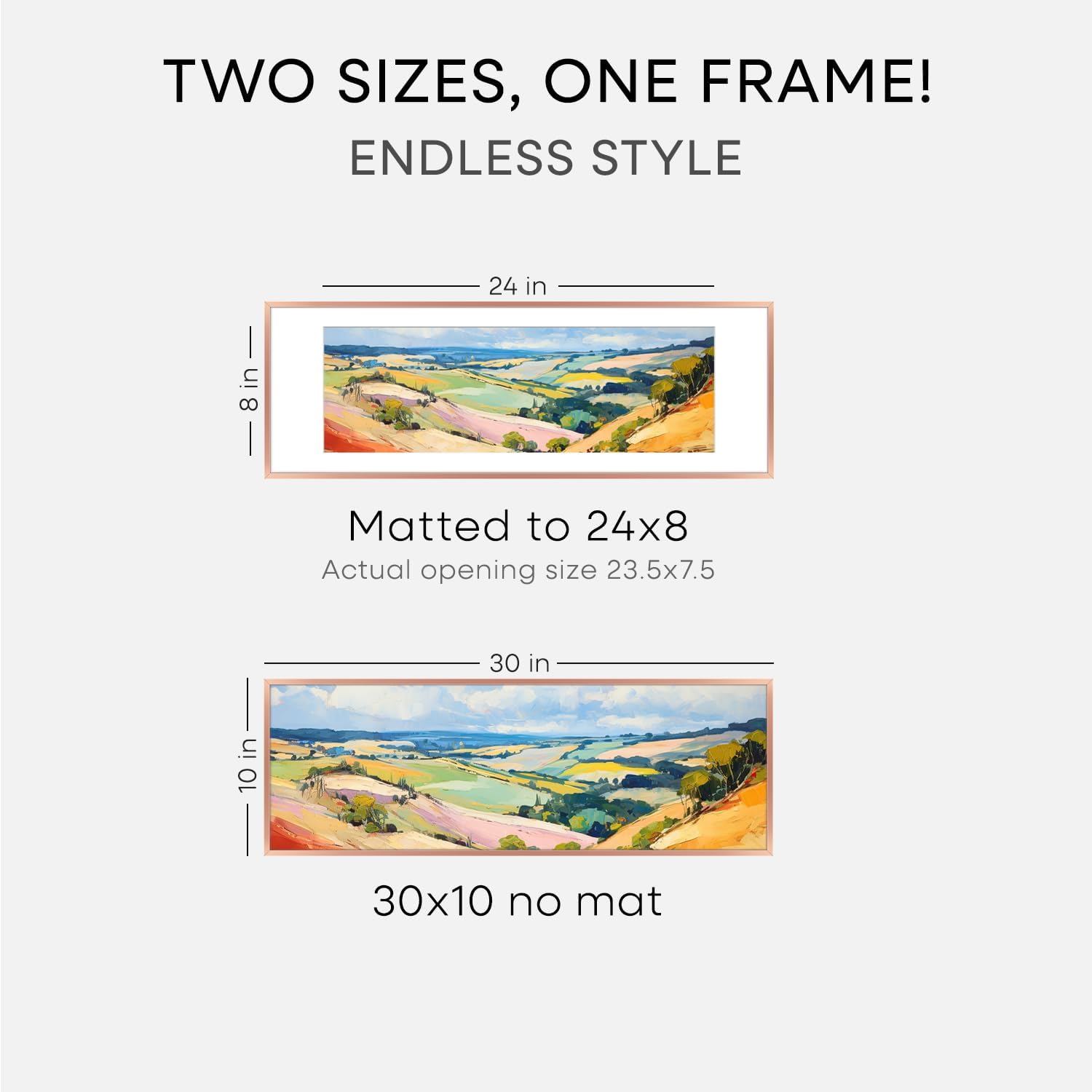 Homeforia 10x30 Rose Gold Picture Frame, High End Metal 10by30 Poster Frames with Mat 8x24 Photo, 10 x 30 Rose Frames Matted to 8 x 24 Print, 30x10 Panoramic Frames, Tempered Glass, Wall Kit, Set of 1