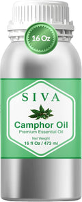 Siva Camphor Essential Oil - 16 Fl Oz – 100% Natural Camphor Oil - for Diffuser, Face, Skin Care, Aromatherapy, Hair Care, Scalp and Body Massage