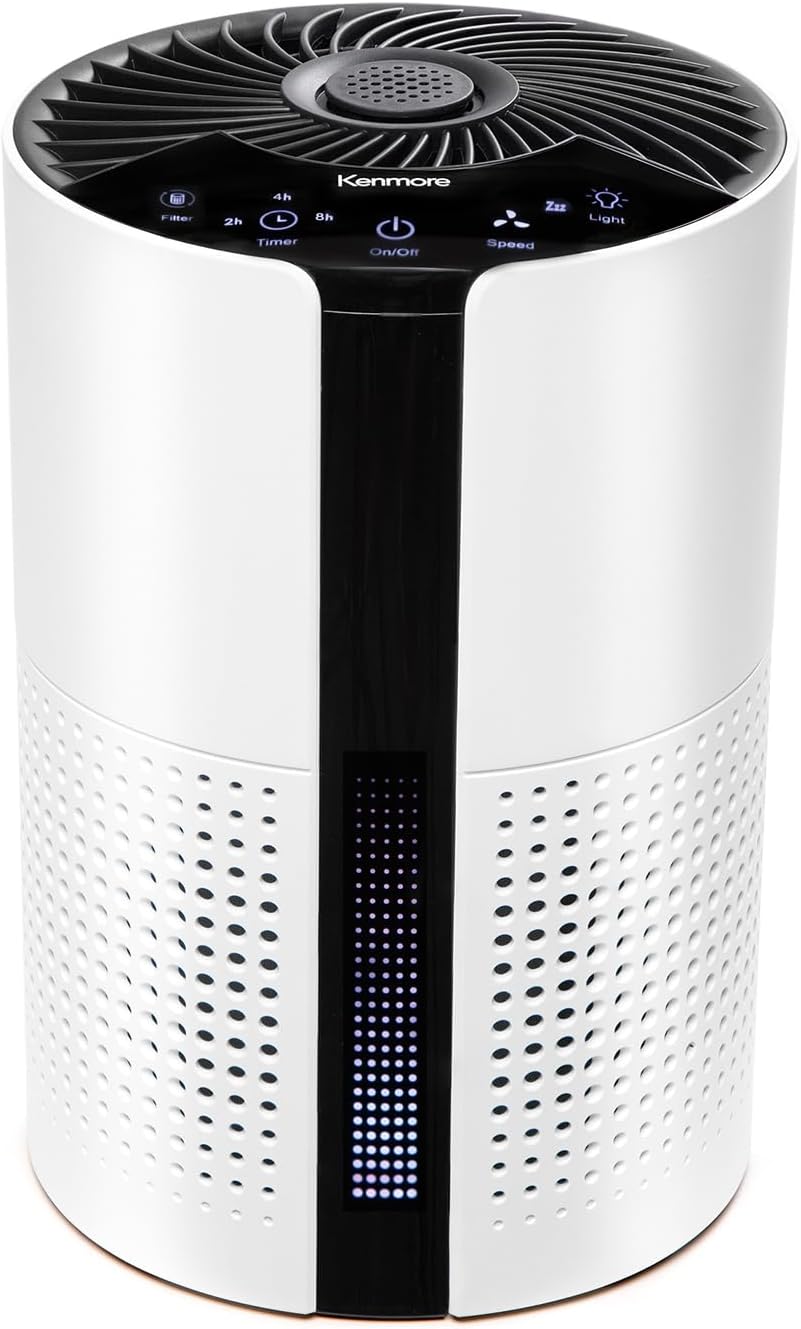 Kenmore PM1010 Air Purifiers for Bedroom Up to 348 Sq.Foot with H13 True HEPA Filter, Child Lock, Sleep Mode for Small Rooms