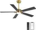 WINGBO 52" Smart Ceiling Fan with Lights, 5 Plywood Blades, 6 Speeds Reversible DC Motor, Works with Alexa and Google Assistant, 3CCT Dimmable LED Ceiling Fan for Bedroom Living Room, Brass and Black
