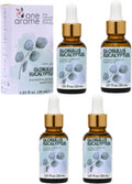 Eucalyptus Globulus Essential Oil by One Arome – Pure, Undiluted & Steam-Distilled Herbal Aroma for Diffusers for Home, Massage (Dilute), Cleaning & Linen Refresh (Pack of 4/1.0 Fl Oz)