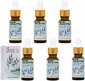 Dual Eucalyptus Essential Oil Blends by One Arome – Eucalyptus Oil (Corymbia Citriodora - Lemon & Eucalyptus Globulus) | Oil for Diffusers, Massage (Dilute) & DIY (Pack of 6 × 1.0 fl oz Each)