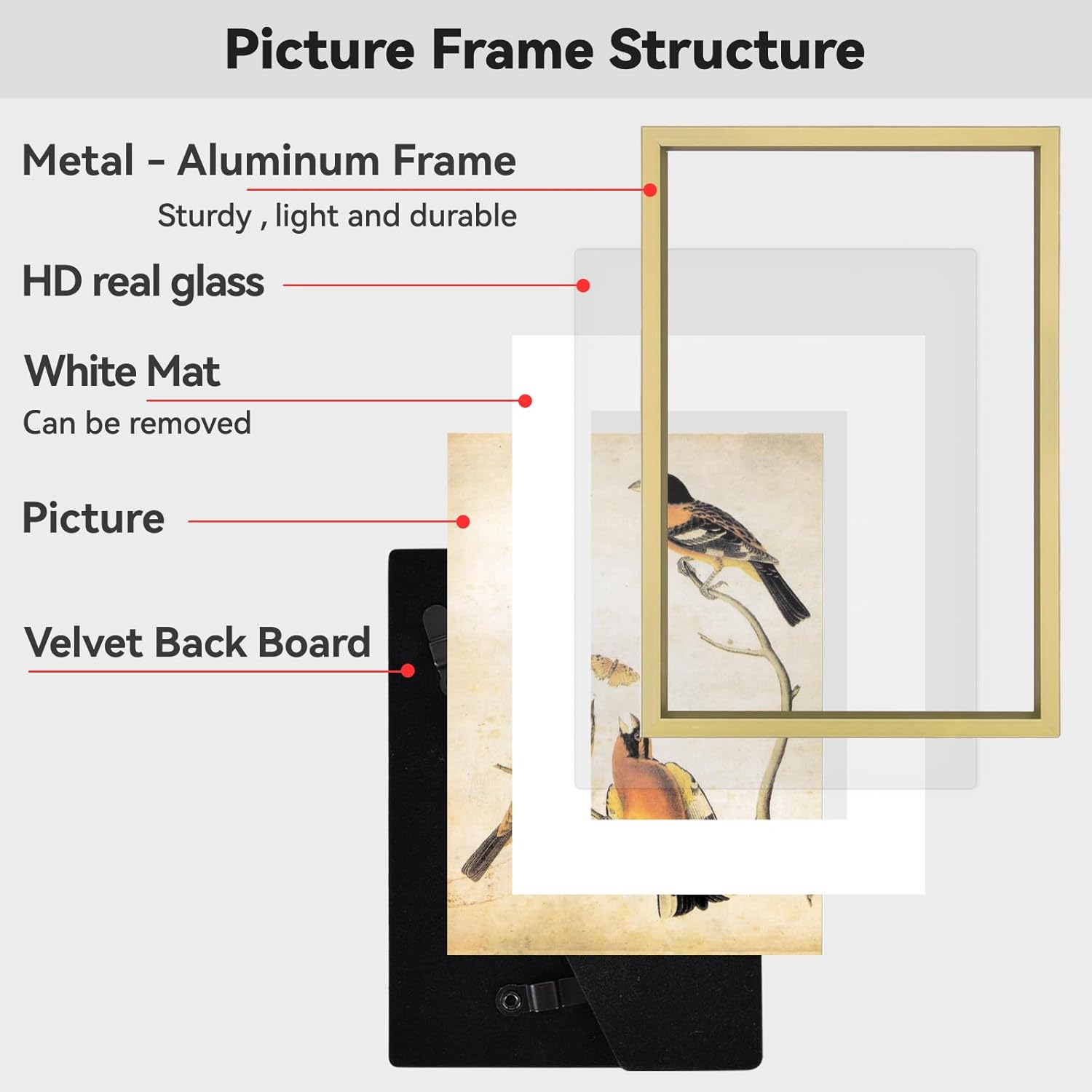 10x12 Picture Frame, Brass Aluminum Metal Photo Frames with HD Glass, Fits 8x10 with Mat or 10 x 12 without Mat, Display for Wall, 1 Pack