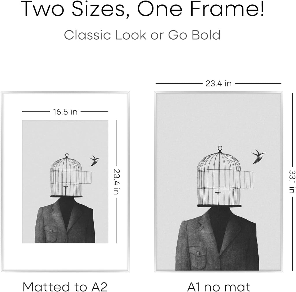 Homeforia A1 Poster Frame Silver, High End Metal A1 Large Picture Frame Silver with Mat A2 for Photo, 23.4x33.1 Frames Matted to 16.5x23.4 Print, 23.4 by 33.1 Frame, Tempered Glass, Wall Kit, Set of 1
