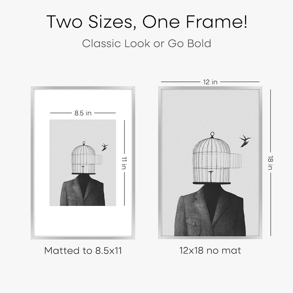 Homeforia 12x18 Silver Frame, High End Metal 12 x 18 Picture Frames with Mat 8.5 x 11 Photo, 18x12 Silver Poster Frame Matted to 11x8.5 Print, 18by12 Hanging Frames, Tempered Glass, Wall Kit, Set of 1