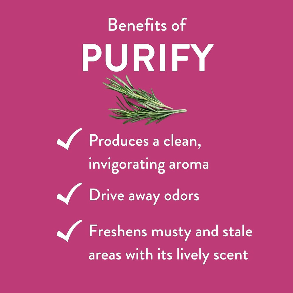 Purify Essential Oil Blend by Revive Essential Oils - REVIVEEO - 100% Pure Therapeutic Grade, for Diffuser, Humidifier, Massage, Aromatherapy, Skin & Hair Care