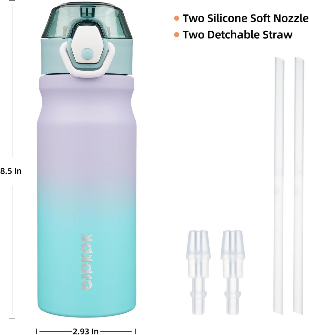 BJPKPK Water Bottle with Straw 18oz Insulated Water Bottles Reusable Stainless Steel Metal Thermal Flask with Leak Proof Lockable Lid and Carry Handle,Lavender Green