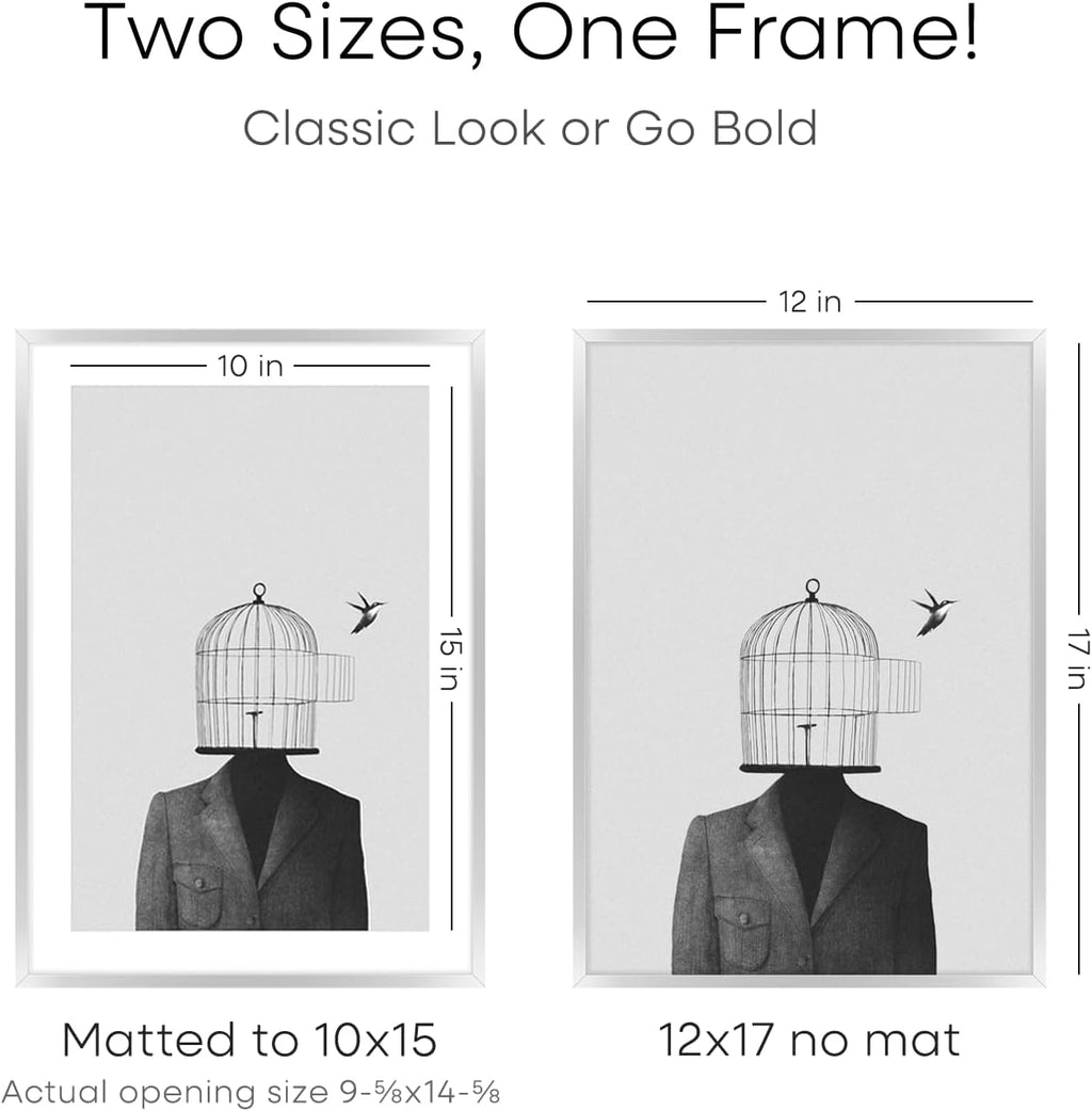 Homeforia 12x17 Picture Frame Silver, High End Metal 12x17 Frames with Mat 10x15 for Photo, 12 x 17 Silver Poster Frame Matted to 10 x 15 Print, 17x12 Hanging Frame, Tempered Glass, Wall Kit, Set of 2