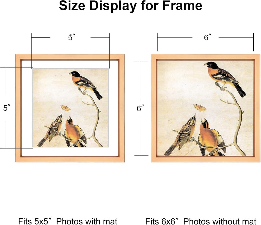 6x6 Picture Frame, Gold Metal Photo Frames with HD Glass, Fits 5x5 with Mat or 6 x 6 without Mat, Display for Wall and Table, 1 Pack