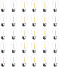 Jslinter 30-Pack LED String Light Bulbs Replacement, 1W E26 Vintage Bulbs, 2200K Warm White, Indoor/Outdoor String Lights for Wedding, Party, Xmas Decor
