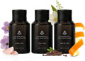 AromaPlan Scent Diffuser Oil Tea Collection- Luxury Fragrance Oil - Home & Hotel Fragrance - Non Toxic for Pet and Children- Made in USA- Gift Ready, 3 Pack/1.7 fl.oz(50 ml Each)